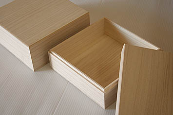 ������p�˔�